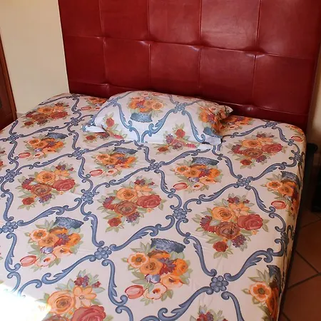 Ali House Guest house